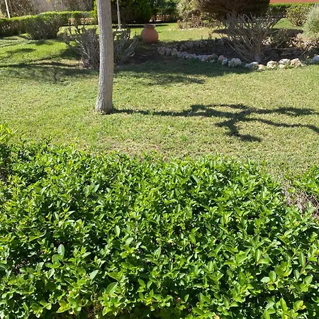 Apartment Primera Linea, Piscina, Wifi, Padel Y Mas! #1 El Campello