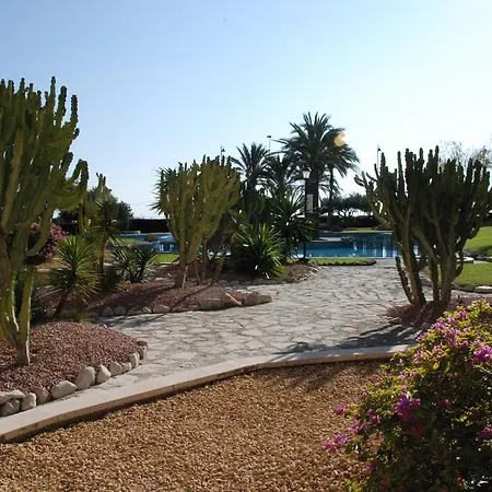 Diskover Urb Mistral * El Campello