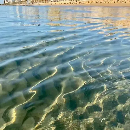 Frente Al Mar En Apartamento