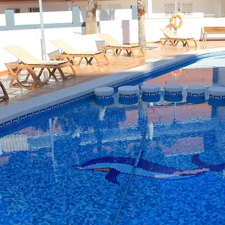La Familia Gallo Rojo 4* El Campello
